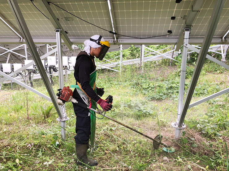 青森県 49.5kW 太陽光発電所売電損失事例